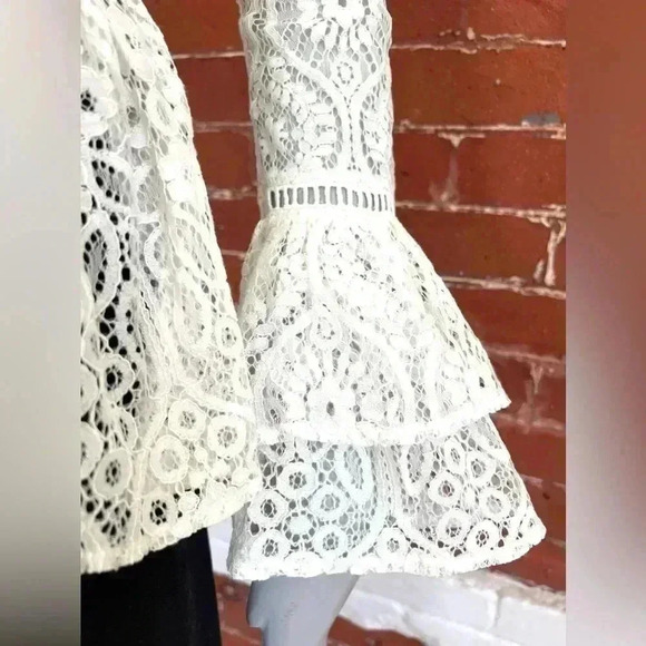 Amaryllis Lace High Neck Blouse Ruffles Long Sleeve New Romantic Sheer - Picture 4 of 15